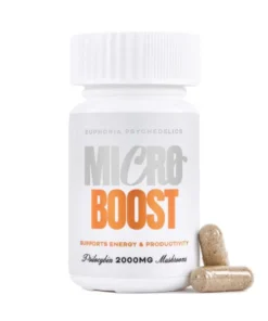 Mushroom Microdose Capsules