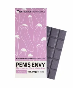 Penis Envy Blueberry Cheesecake Bar